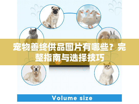 宠物善终供品图片有哪些？完整指南与选择技巧