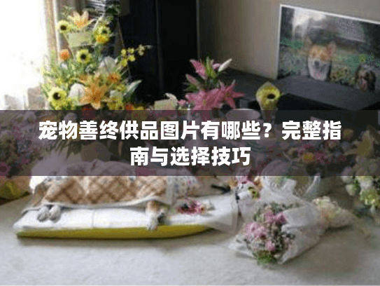 宠物善终供品图片有哪些？完整指南与选择技巧