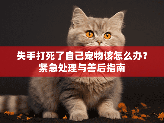 失手打死了自己宠物该怎么办？紧急处理与善后指南