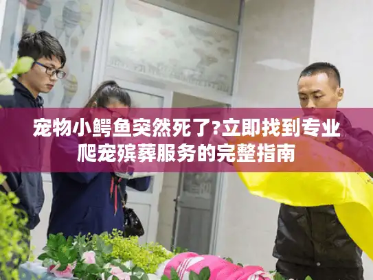 宠物小鳄鱼突然死了?立即找到专业爬宠殡葬服务的完整指南