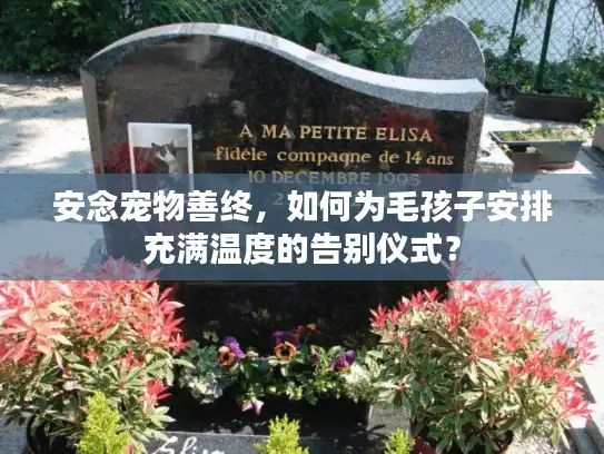 安念宠物善终,如何为毛孩子安排充满温度的告别仪式? 安念宠物善终,如何为毛孩子安排充满温度的告别仪式?