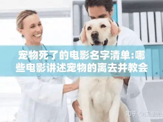 宠物死了的电影名字清单:哪些电影讲述宠物的离去并教会我们告别？