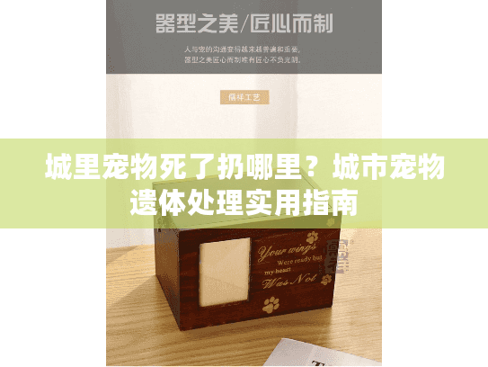 城里宠物死了扔哪里?城市宠物遗体处理实用指南 城里宠物死了扔哪里?城市宠物遗体处理实用指南