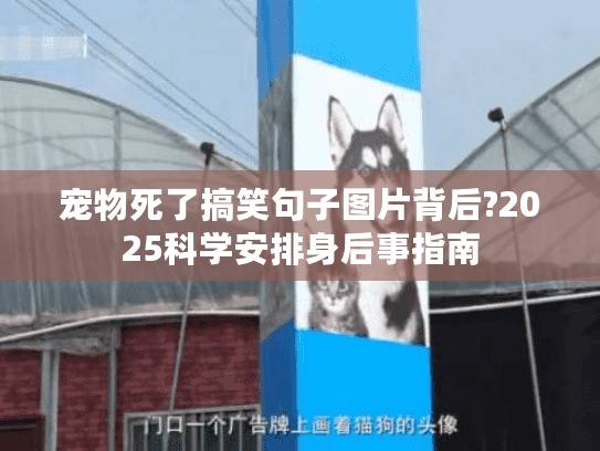 宠物死了搞笑句子图片背后?2025科学安排身后事指南