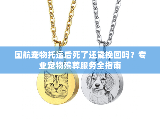 国航宠物托运后死了还能挽回吗？专业宠物殡葬服务全指南