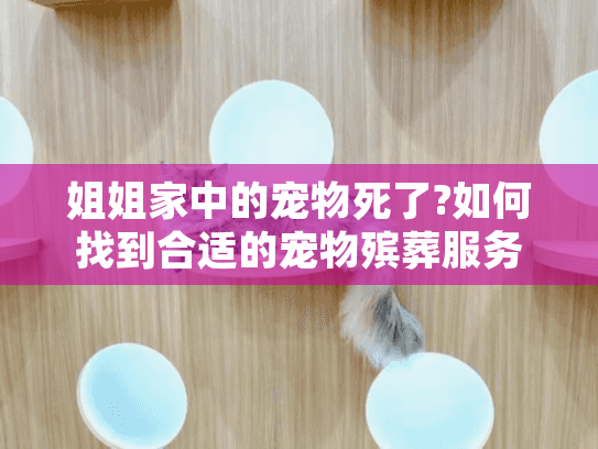 姐姐家中的宠物死了?如何找到合适的宠物殡葬服务处理悲伤时刻