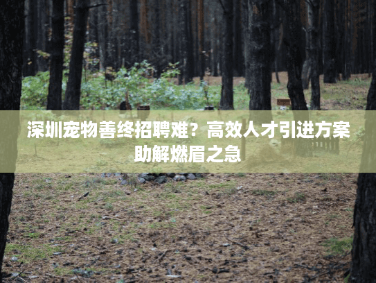 深圳宠物善终招聘难？高效人才引进方案助解燃眉之急