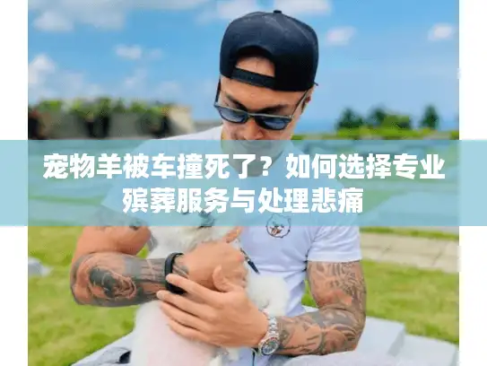 宠物羊被车撞死了?如何选择专业殡葬服务与处理悲痛 宠物羊被车撞死了?如何选择专业殡葬服务与处理悲痛