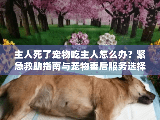 主人死了宠物吃主人怎么办？紧急救助指南与宠物善后服务选择