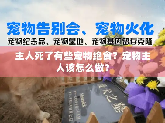 主人死了有些宠物绝食？宠物主人该怎么做？