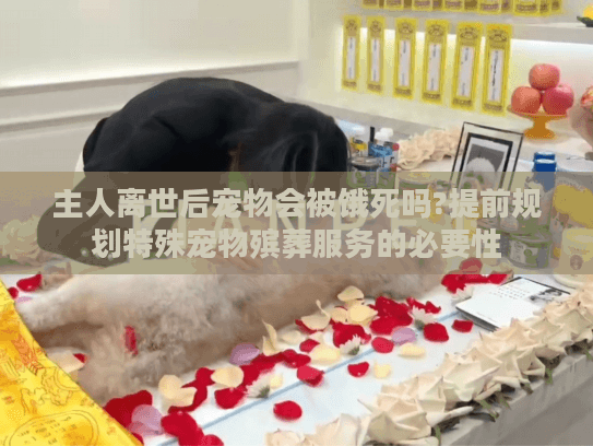 主人离世后宠物会被饿死吗?提前规划特殊宠物殡葬服务的必要性