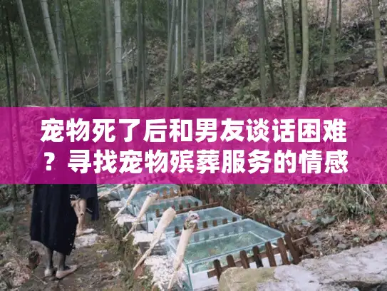 宠物死了后和男友谈话困难？寻找宠物殡葬服务的情感指南