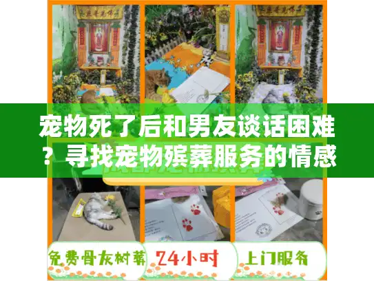 宠物死了后和男友谈话困难？寻找宠物殡葬服务的情感指南