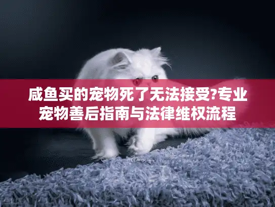 咸鱼买的宠物死了无法接受?专业宠物善后指南与法律维权流程