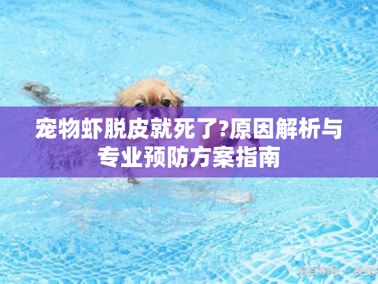 宠物虾脱皮就死了?原因解析与专业预防方案指南