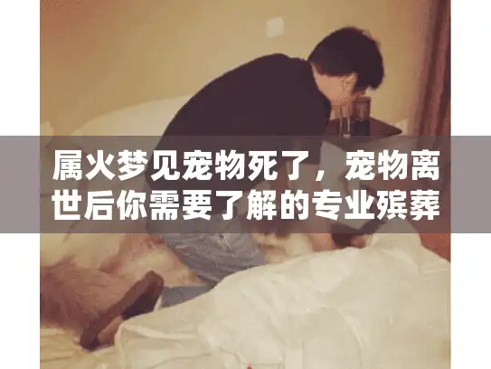 属火梦见宠物死了，宠物离世后你需要了解的专业殡葬服务选择？