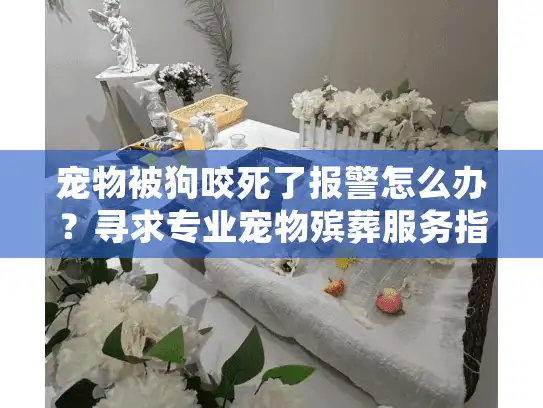 宠物被狗咬死了报警怎么办？寻求专业宠物殡葬服务指南