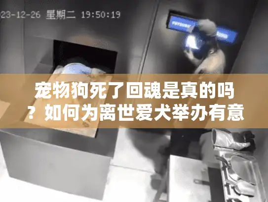 宠物狗死了回魂是真的吗？如何为离世爱犬举办有意义的告别仪式