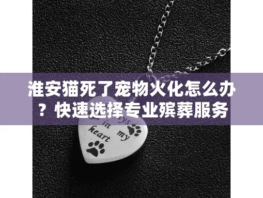 淮安猫死了宠物火化怎么办？快速选择专业殡葬服务