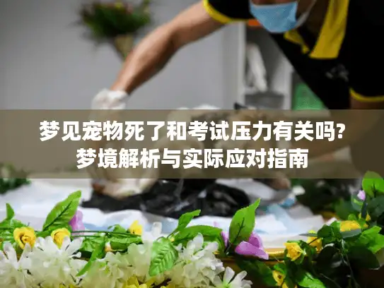 梦见宠物死了和考试压力有关吗?梦境解析与实际应对指南