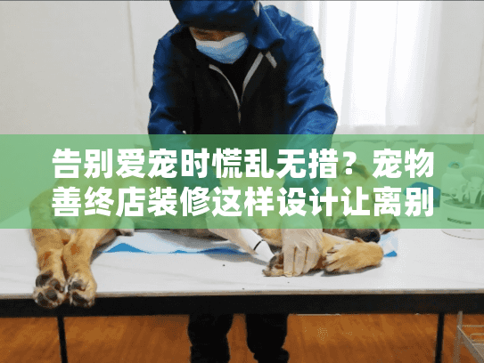 告别爱宠时慌乱无措？宠物善终店装修这样设计让离别更有温度