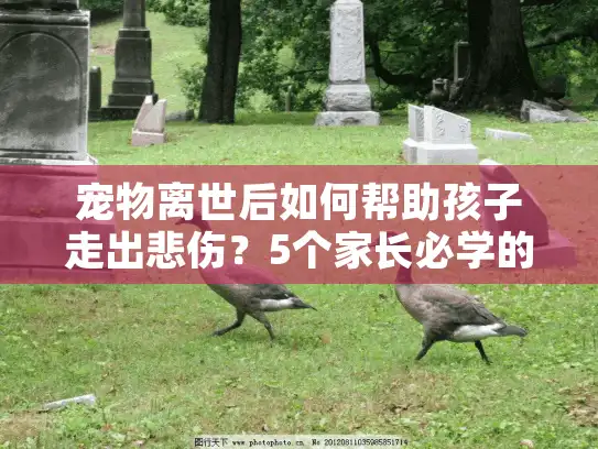 宠物离世后如何帮助孩子走出悲伤?5个家长必学的抚慰技巧 宠物离世后如何帮助孩子走出悲伤?5个家长必学的抚慰技巧