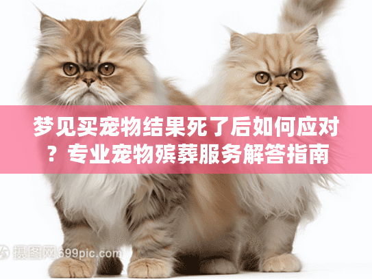梦见买宠物结果死了后如何应对？专业宠物殡葬服务解答指南