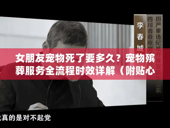 女朋友宠物死了要多久？宠物殡葬服务全流程时效详解（附贴心建议）