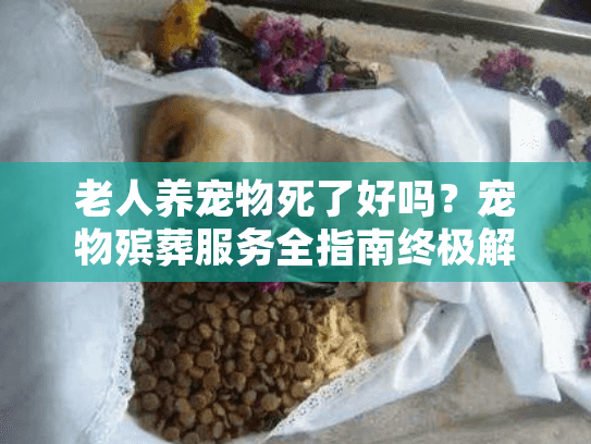老人养宠物死了好吗？宠物殡葬服务全指南终极解析