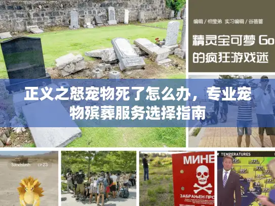 正义之怒宠物死了怎么办，专业宠物殡葬服务选择指南