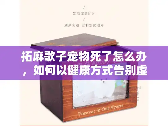 拓麻歌子宠物死了怎么办，如何以健康方式告别虚拟宠物？