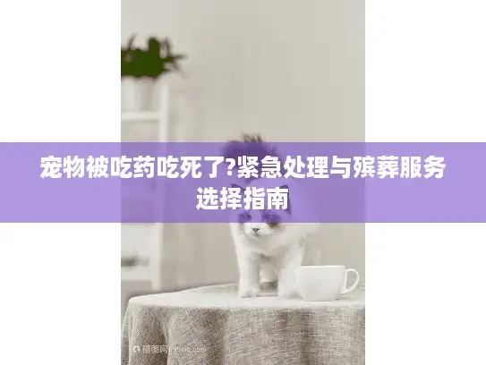 宠物被吃药吃死了?紧急处理与殡葬服务选择指南 宠物被吃药吃死了?紧急处理与殡葬服务选择指南