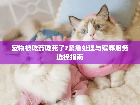 宠物被吃药吃死了?紧急处理与殡葬服务选择指南 宠物被吃药吃死了?紧急处理与殡葬服务选择指南