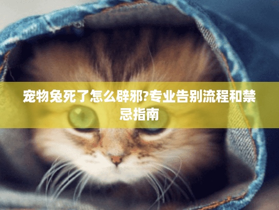 宠物兔死了怎么辟邪?专业告别流程和禁忌指南 宠物兔死了怎么辟邪?专业告别流程和禁忌指南