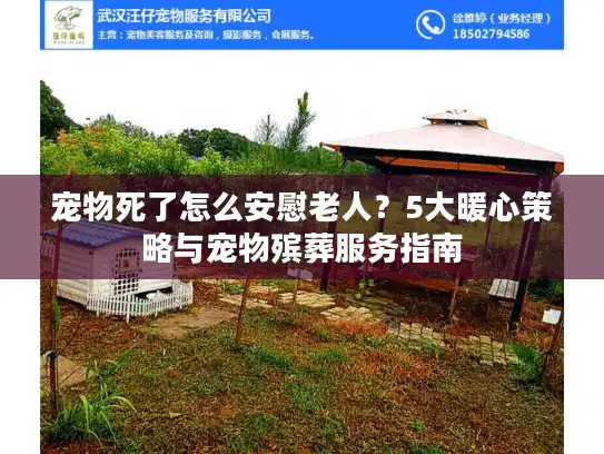 宠物死了怎么安慰老人？5大暖心策略与宠物殡葬服务指南