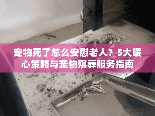 宠物死了怎么安慰老人？5大暖心策略与宠物殡葬服务指南