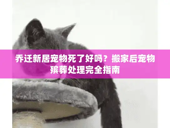 乔迁新居宠物死了好吗？搬家后宠物殡葬处理完全指南