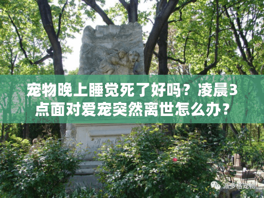 宠物晚上睡觉死了好吗?凌晨3点面对爱宠突然离世怎么办? 宠物晚上睡觉死了好吗?凌晨3点面对爱宠突然离世怎么办?