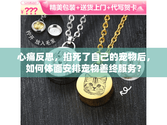 心痛反思，掐死了自己的宠物后，如何体面安排宠物善终服务？