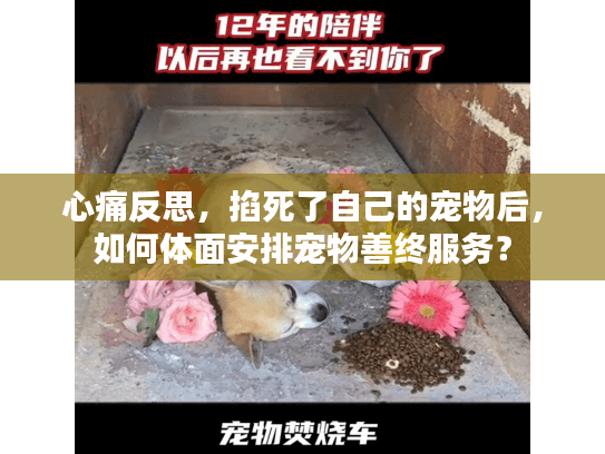 心痛反思，掐死了自己的宠物后，如何体面安排宠物善终服务？
