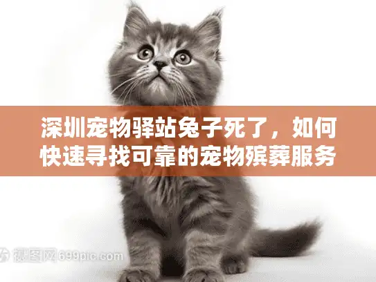 深圳宠物驿站兔子死了,如何快速寻找可靠的宠物殡葬服务 深圳宠物驿站兔子死了,如何快速寻找可靠的宠物殡葬服务
