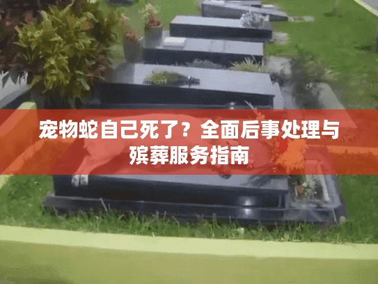 宠物蛇自己死了？全面后事处理与殡葬服务指南