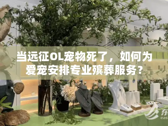 当远征OL宠物死了，如何为爱宠安排专业殡葬服务？