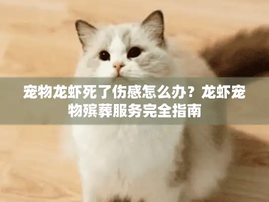 宠物龙虾死了伤感怎么办？龙虾宠物殡葬服务完全指南