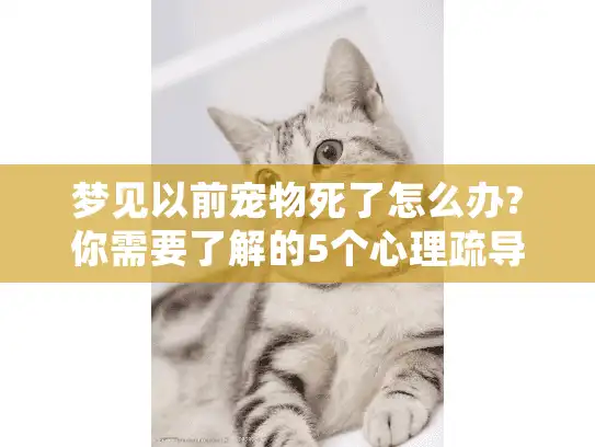 梦见以前宠物死了怎么办?你需要了解的5个心理疏导与殡葬服务指南