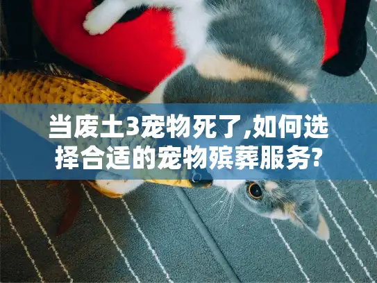 当废土3宠物死了,如何选择合适的宠物殡葬服务?