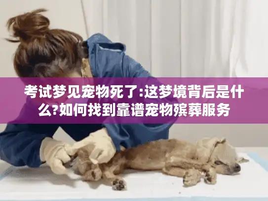 考试梦见宠物死了:这梦境背后是什么?如何找到靠谱宠物殡葬服务 考试梦见宠物死了:这梦境背后是什么?如何找到靠谱宠物殡葬服务