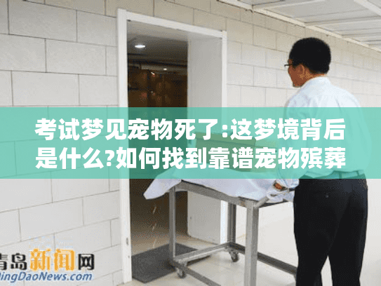 考试梦见宠物死了:这梦境背后是什么?如何找到靠谱宠物殡葬服务 考试梦见宠物死了:这梦境背后是什么?如何找到靠谱宠物殡葬服务
