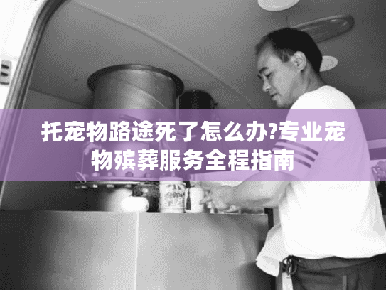 托宠物路途死了怎么办?专业宠物殡葬服务全程指南