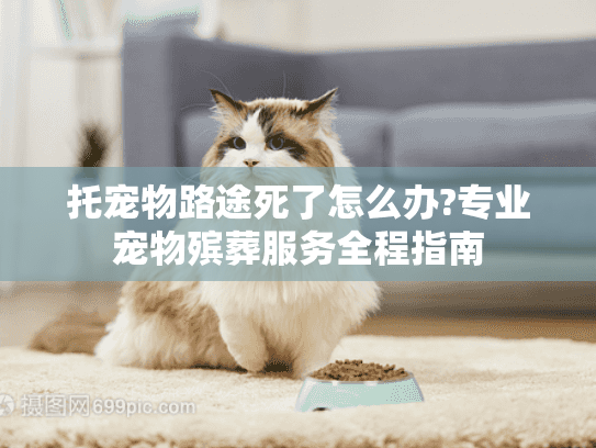 托宠物路途死了怎么办?专业宠物殡葬服务全程指南
